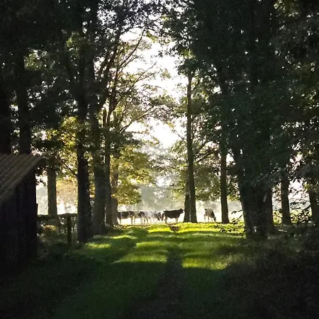 Logeerderij Het Landleven Vragender